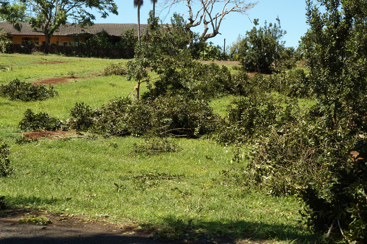 disasters storm_damage : Dunoon Tornado, NSW   27 October 2007