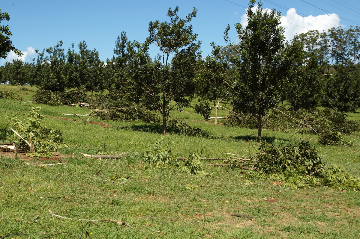 disasters storm_damage : Dunoon Tornado, NSW   27 October 2007