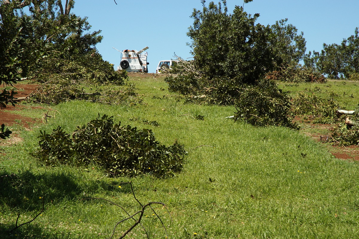 disasters storm_damage : Dunoon Tornado, NSW   27 October 2007