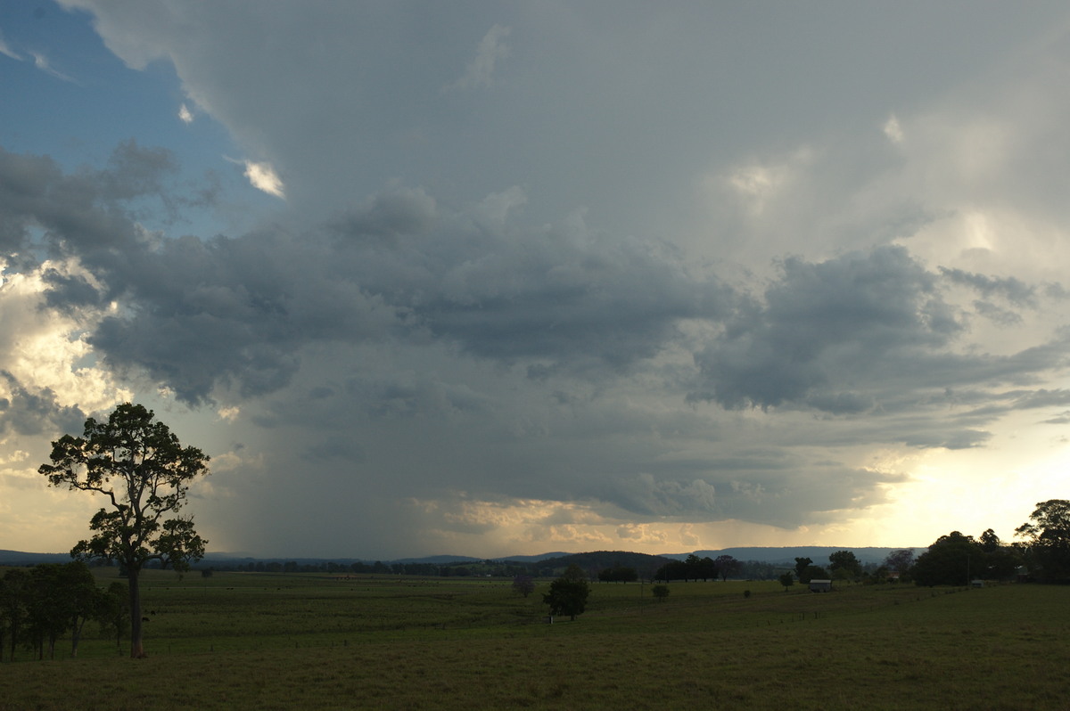 anvil thunderstorm_anvils : near Kyogle, NSW   30 October 2007