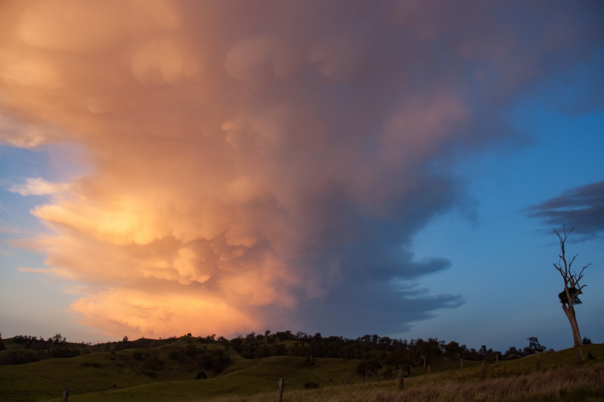 sunset sunset_pictures : W of Kyogle, NSW   30 October 2007