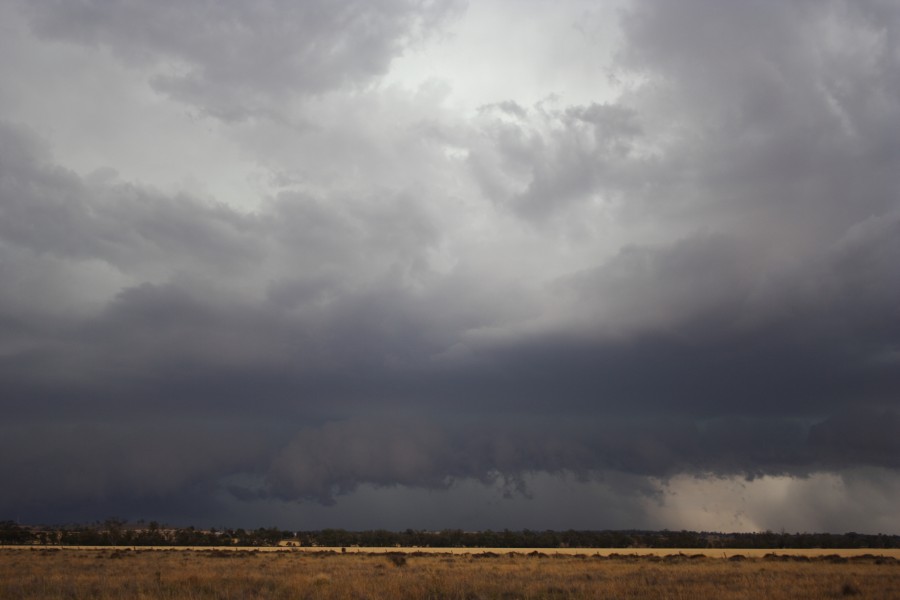 shelfcloud shelf_cloud : near North Star, NSW   31 October 2007