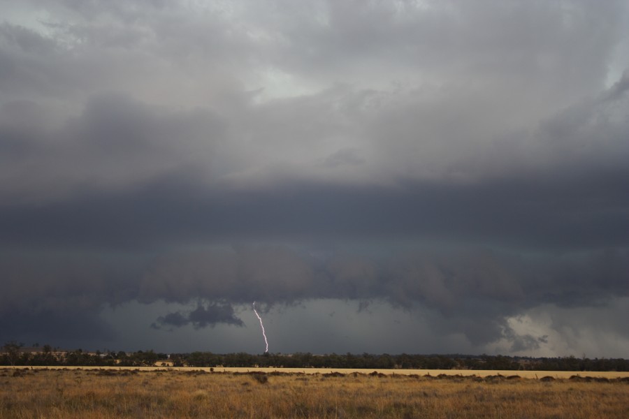 lightning lightning_bolts : near North Star, NSW   31 October 2007