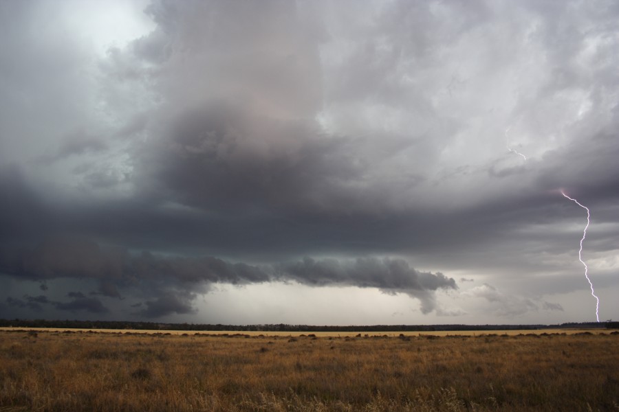 cumulonimbus thunderstorm_base : near North Star, NSW   31 October 2007