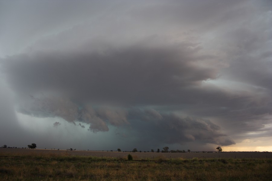 cumulonimbus supercell_thunderstorm : near North Star, NSW   31 October 2007