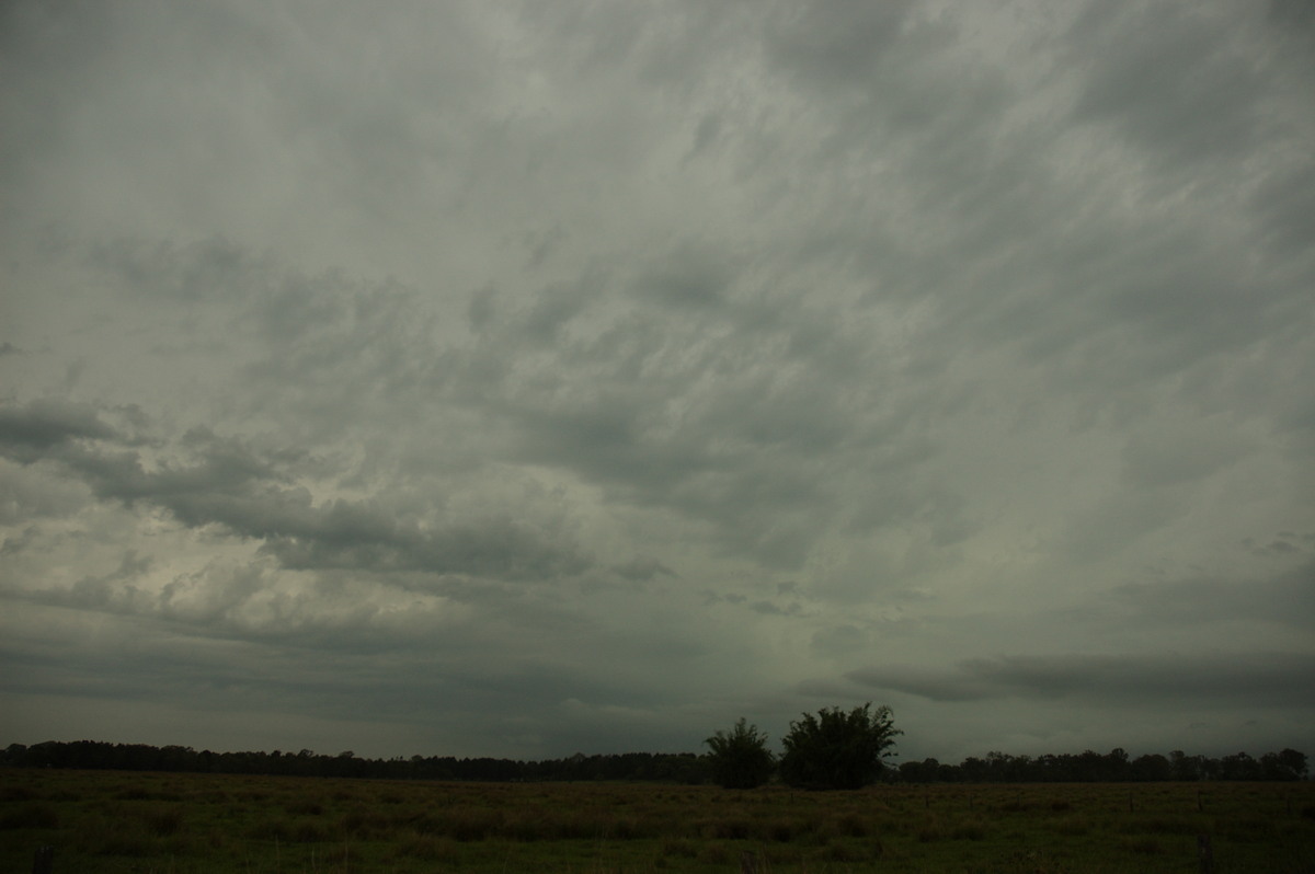 cumulonimbus thunderstorm_base : near Coraki, NSW   31 October 2007