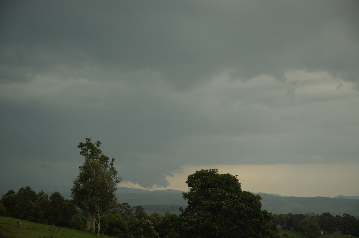 cumulonimbus thunderstorm_base : McLeans Ridges, NSW   2 November 2007