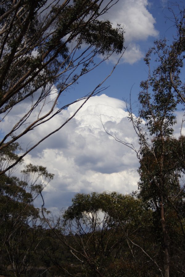 pileus pileus_cap_cloud : Mt Victoria, NSW   14 November 2007