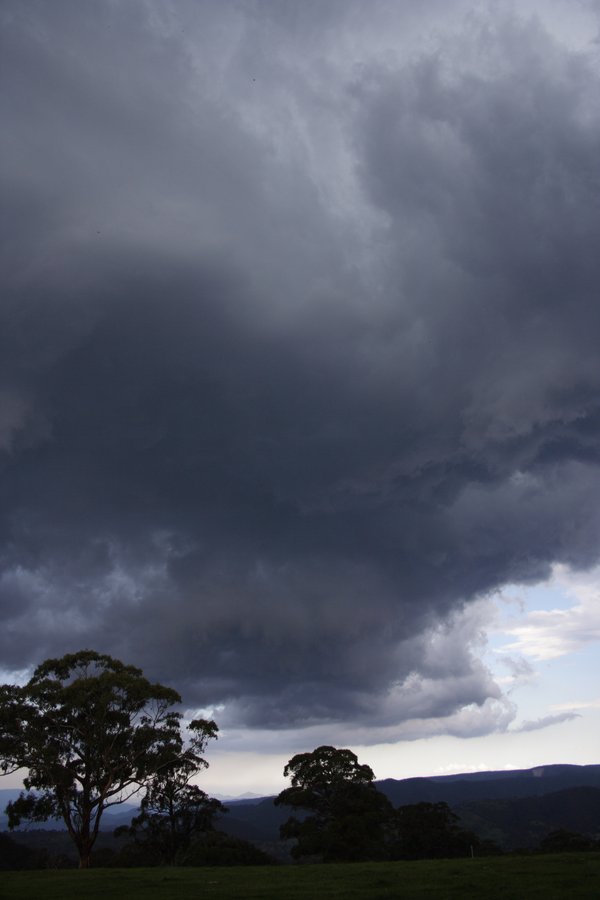 cumulonimbus thunderstorm_base : near Hampton, NSW   16 November 2007
