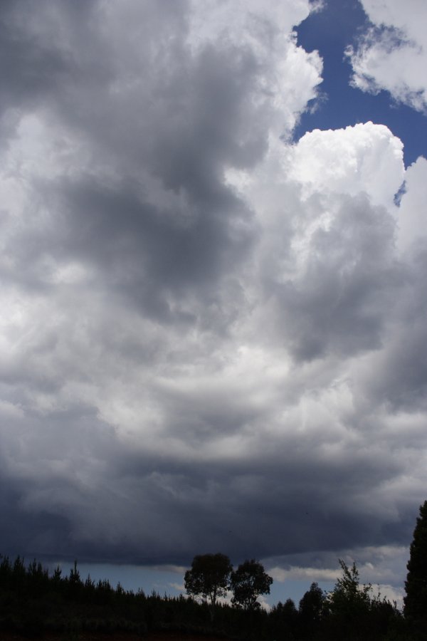 cumulonimbus thunderstorm_base : near Hampton, NSW   19 November 2007