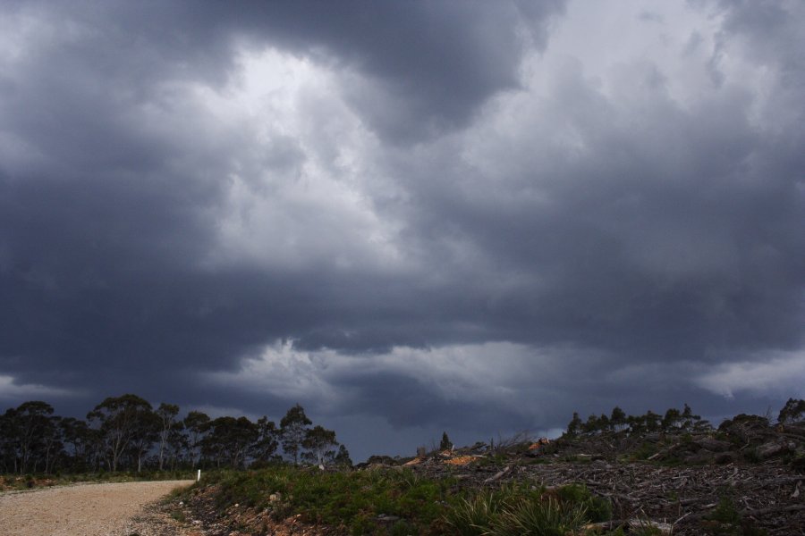 cumulonimbus thunderstorm_base : near Hampton, NSW   19 November 2007