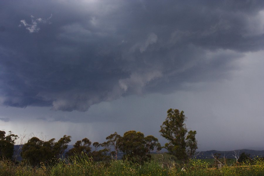 cumulonimbus thunderstorm_base : near Hampton, NSW   19 November 2007