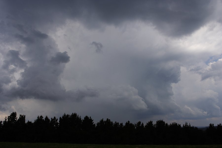 cumulonimbus thunderstorm_base : near Oberon, NSW   20 November 2007