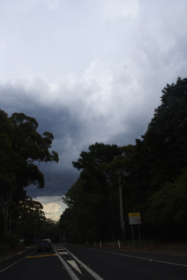 cumulonimbus thunderstorm_base : Bilpin, NSW   21 November 2007
