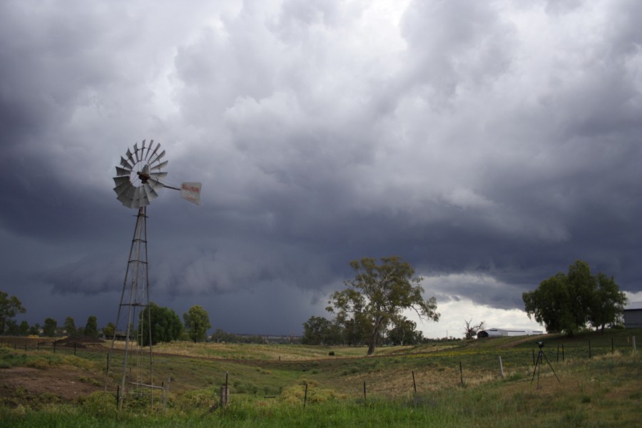 raincascade precipitation_cascade : Tamworth, NSW   22 November 2007