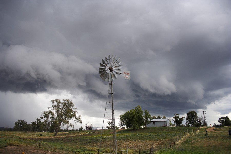 cumulonimbus thunderstorm_base : Tamworth, NSW   22 November 2007