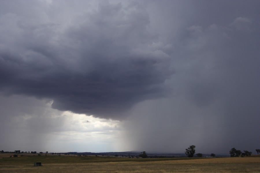 raincascade precipitation_cascade : Tamworth, NSW   22 November 2007