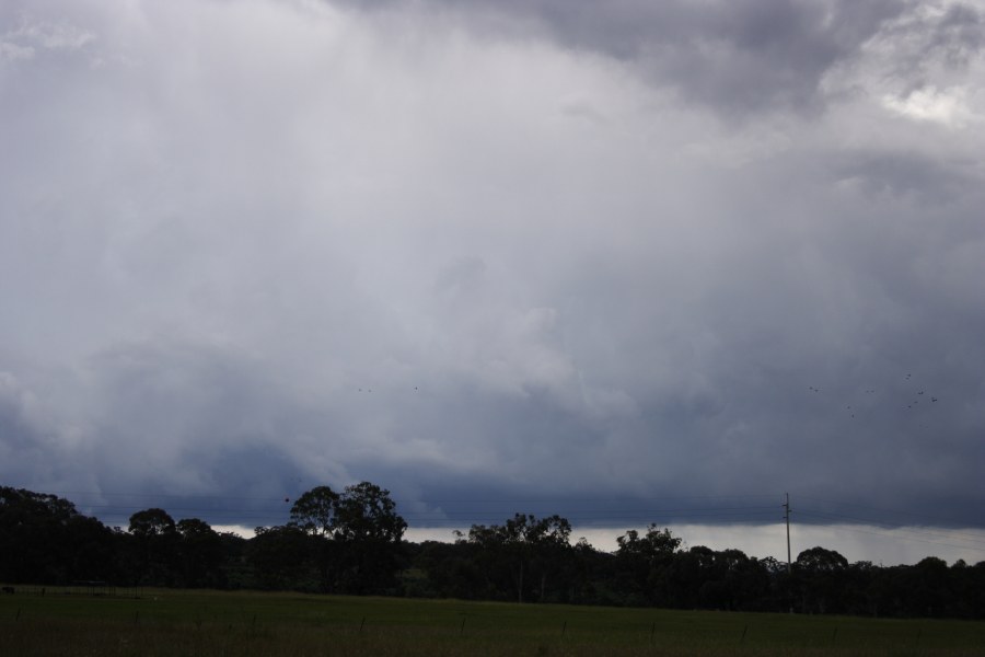 cumulonimbus thunderstorm_base : Inverell, NSW   23 November 2007