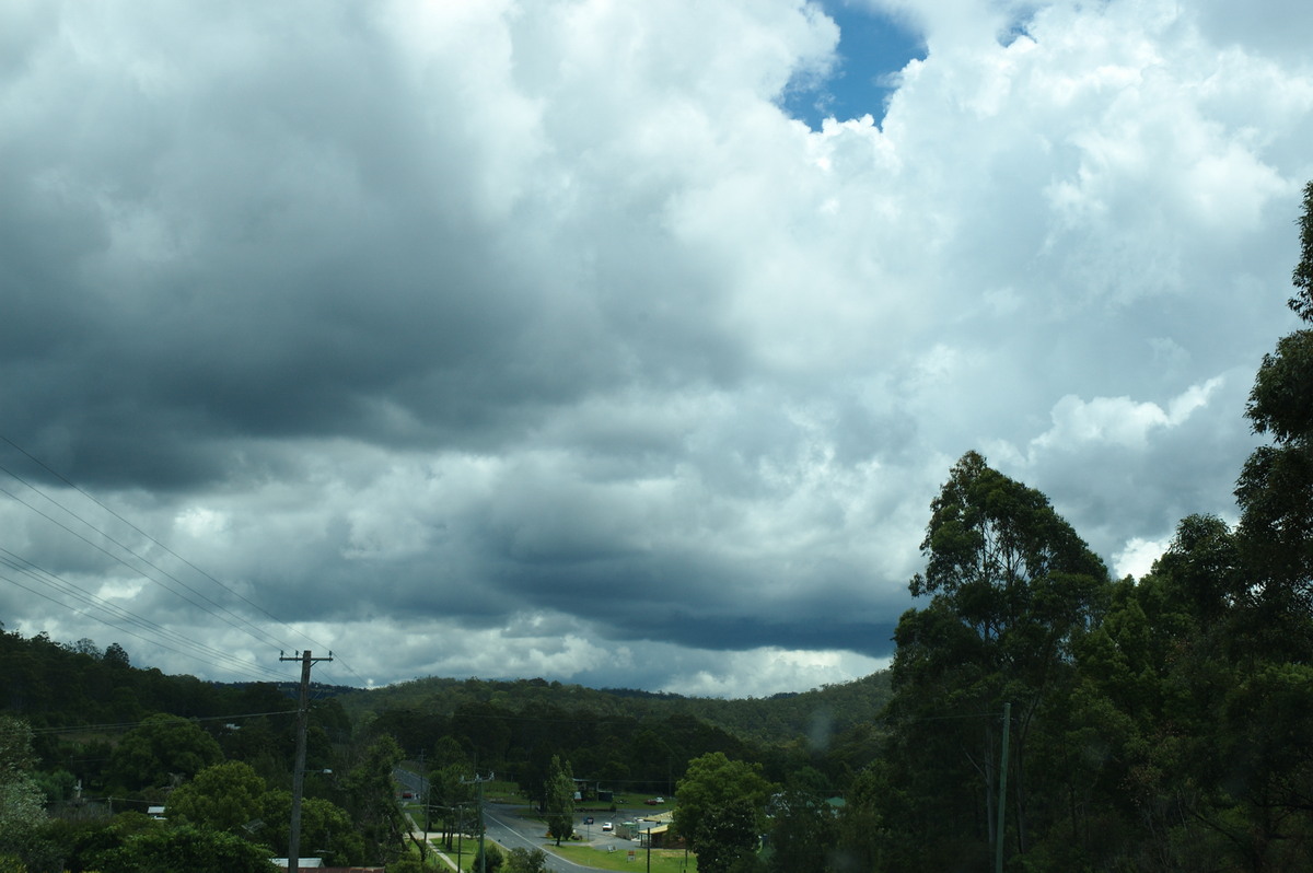 cumulus congestus : Drake, NSW   23 November 2007