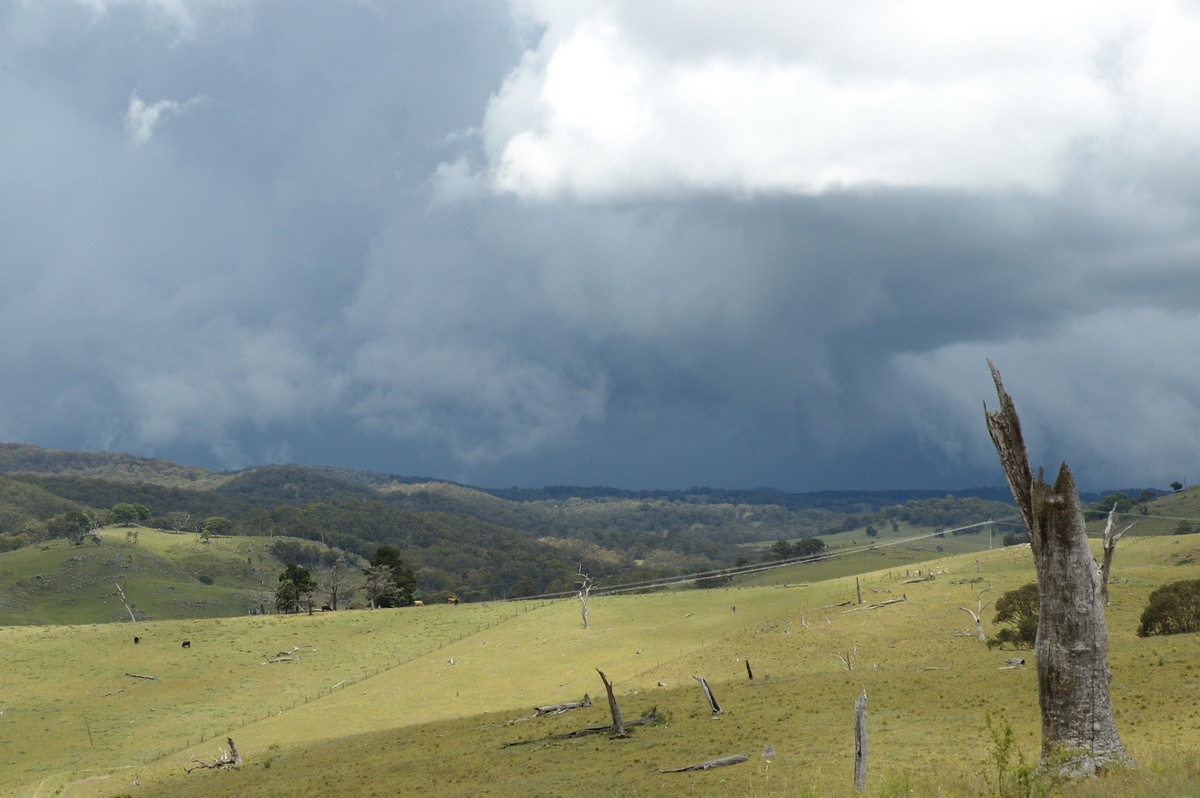 cumulonimbus thunderstorm_base : near Tenterfield, NSW   23 November 2007