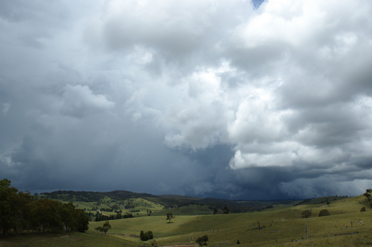 cumulonimbus thunderstorm_base : near Tenterfield, NSW   23 November 2007