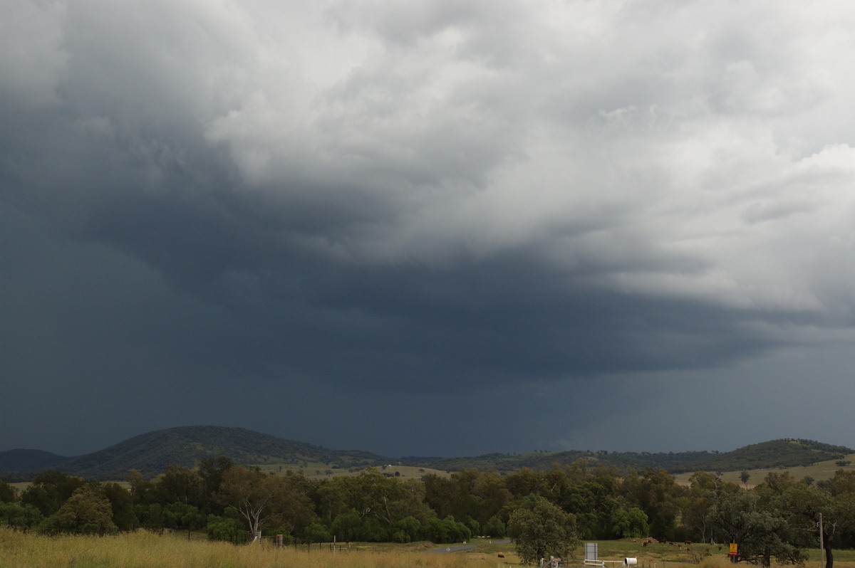 cumulonimbus thunderstorm_base : W of Tenterfield, NSW   23 November 2007