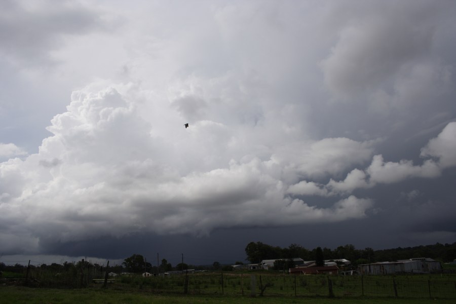 cumulonimbus thunderstorm_base : Schofields, NSW   30 November 2007