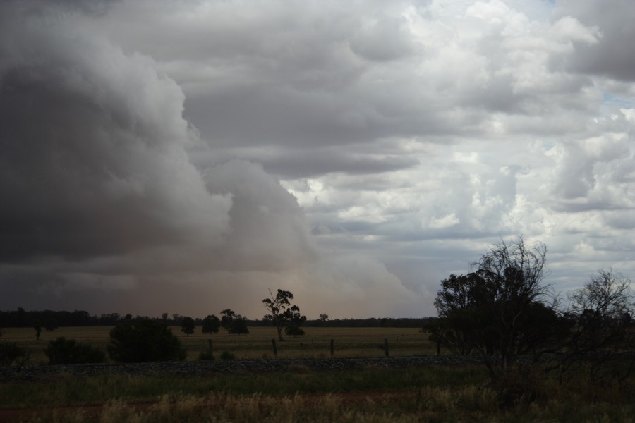 cumulonimbus thunderstorm_base : SW of Narromine, NSW   3 December 2007