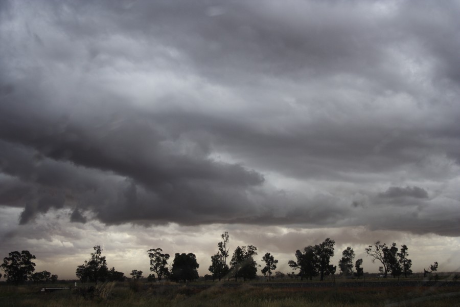 cumulonimbus thunderstorm_base : SW of Narromine, NSW   3 December 2007