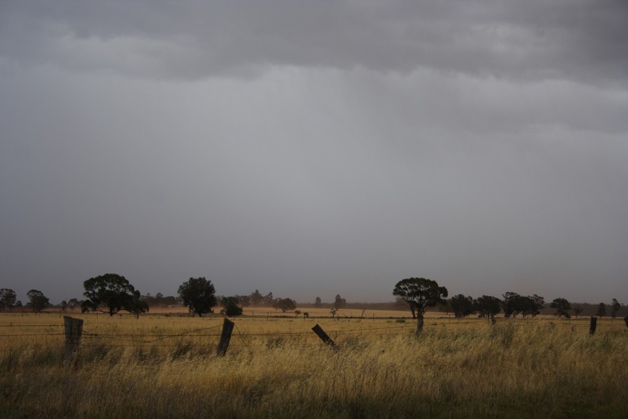 raincascade precipitation_cascade : SW of Narromine, NSW   3 December 2007