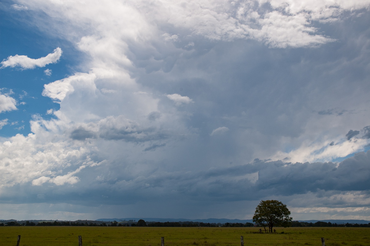 thunderstorm cumulonimbus_incus : N of Casino, NSW   4 December 2007