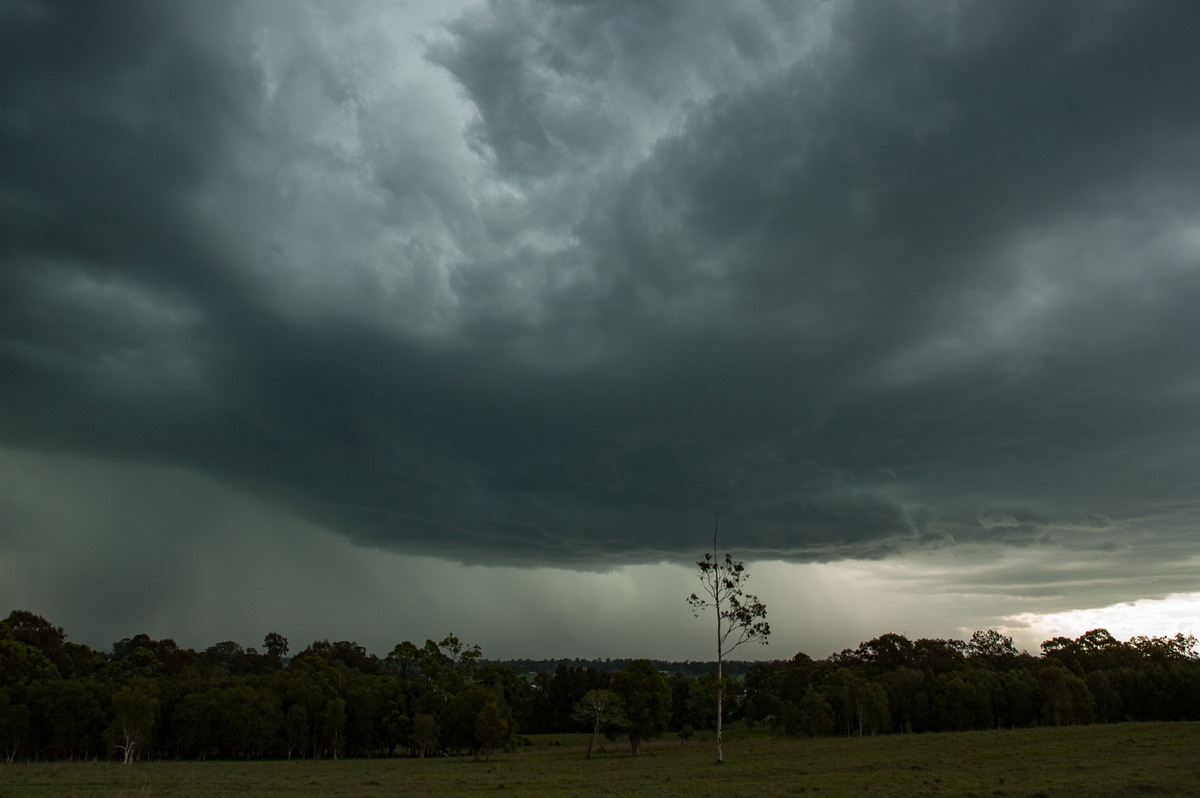 cumulonimbus thunderstorm_base : Koolkhan, NSW   4 December 2007