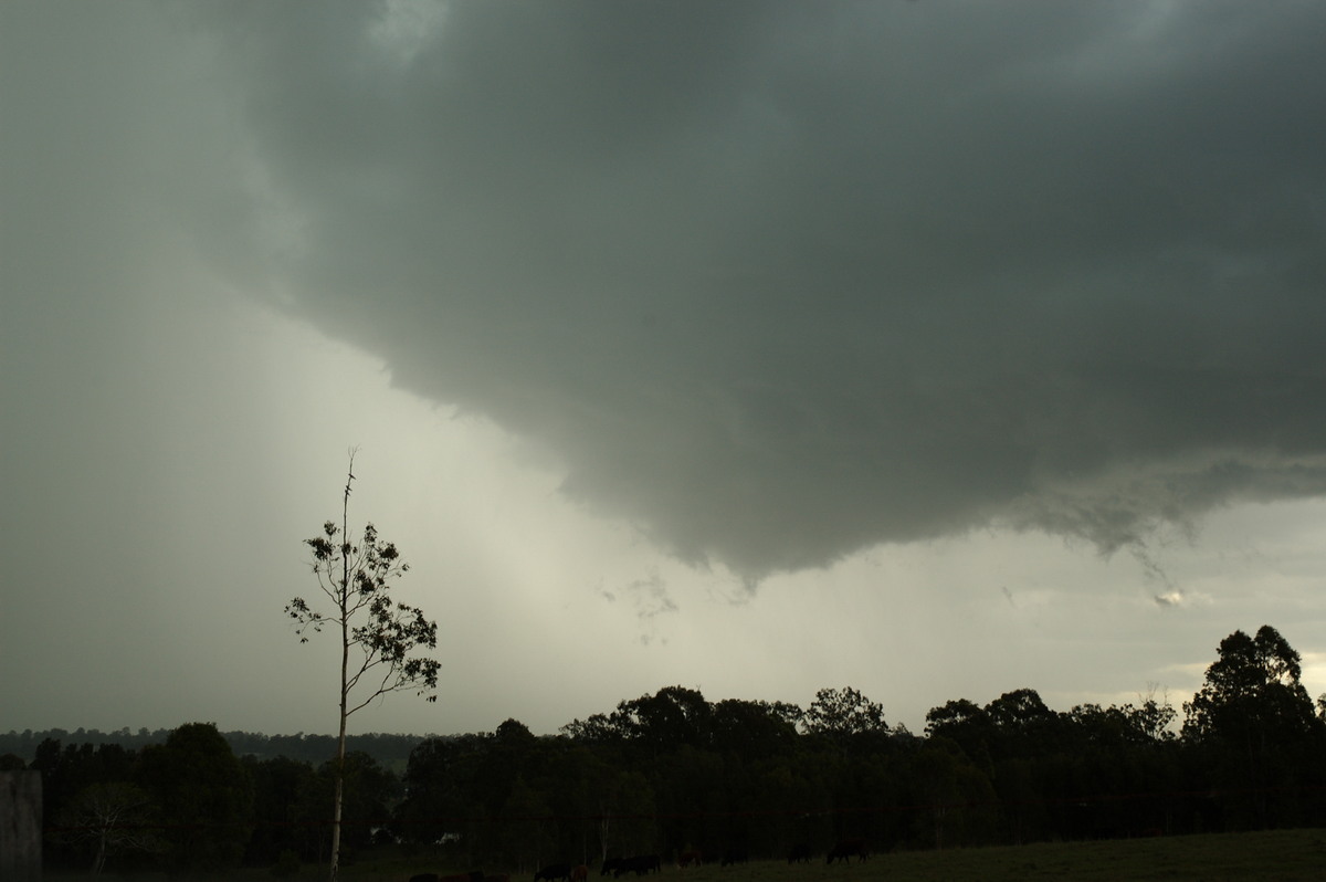 cumulonimbus thunderstorm_base : Koolkhan, NSW   4 December 2007
