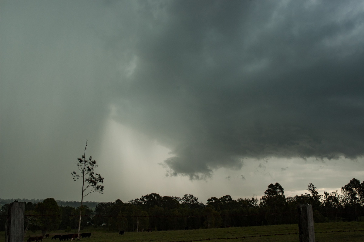 raincascade precipitation_cascade : Koolkhan, NSW   4 December 2007