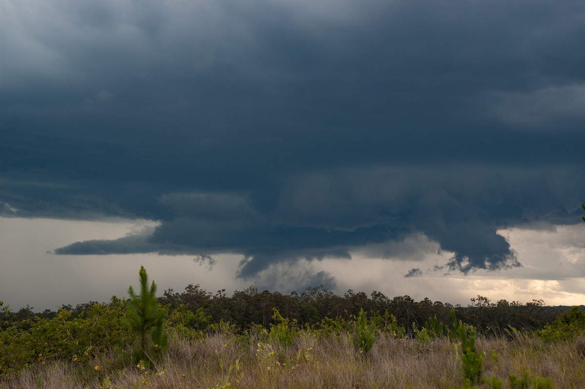 cumulonimbus thunderstorm_base : Whiporie, NSW   4 December 2007