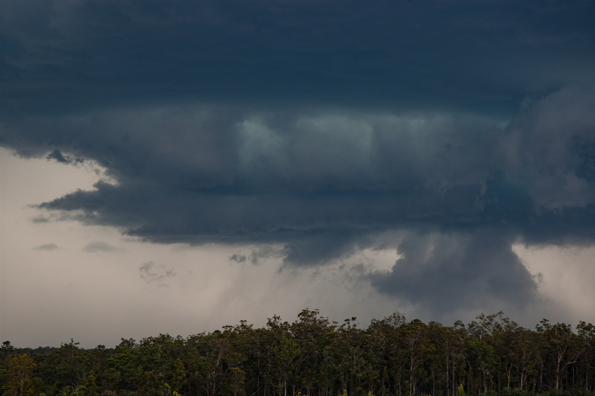 cumulonimbus thunderstorm_base : Whiporie, NSW   4 December 2007