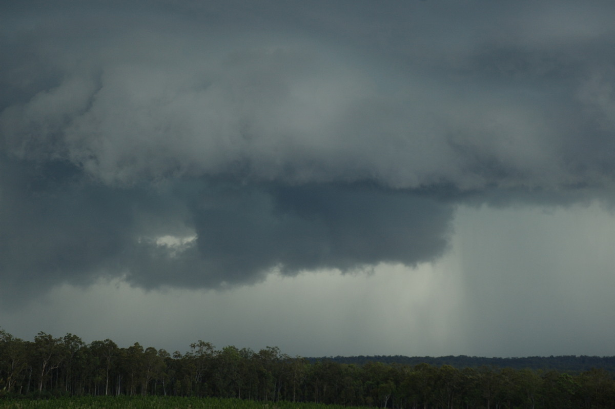 wallcloud thunderstorm_wall_cloud : Whiporie, NSW   4 December 2007