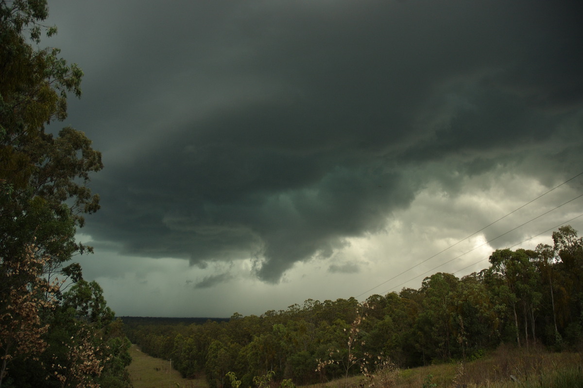 wallcloud thunderstorm_wall_cloud : Rappville, NSW   4 December 2007