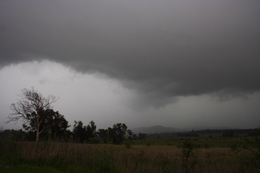 cumulonimbus thunderstorm_base : Camden, NSW   7 December 2007