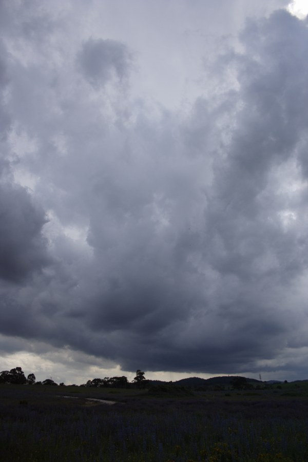 cumulonimbus thunderstorm_base : Portland, NSW   8 December 2007