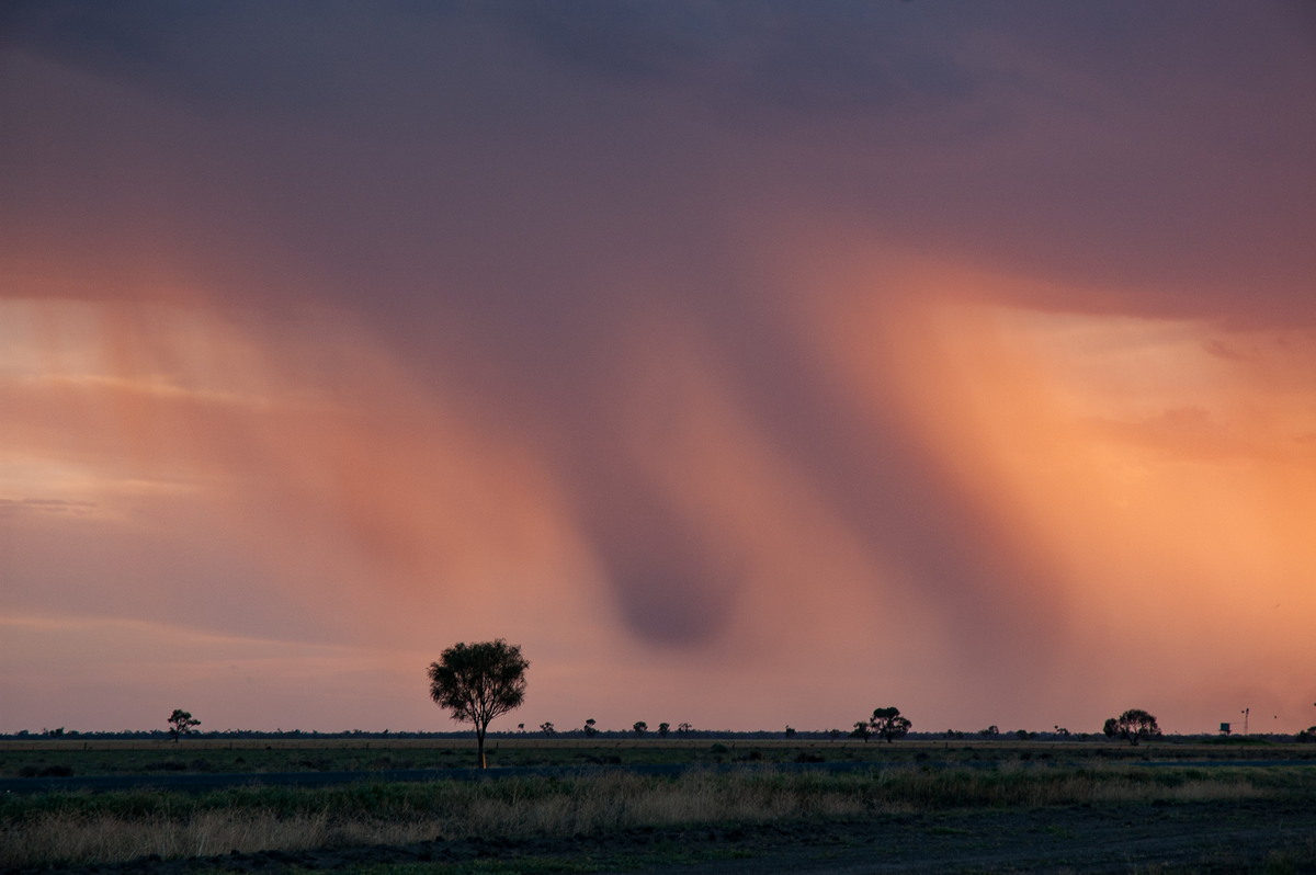 sunset sunset_pictures : Coonamble, NSW   8 December 2007