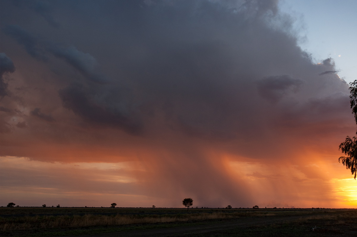 favourites michael_bath : Coonamble, NSW   8 December 2007