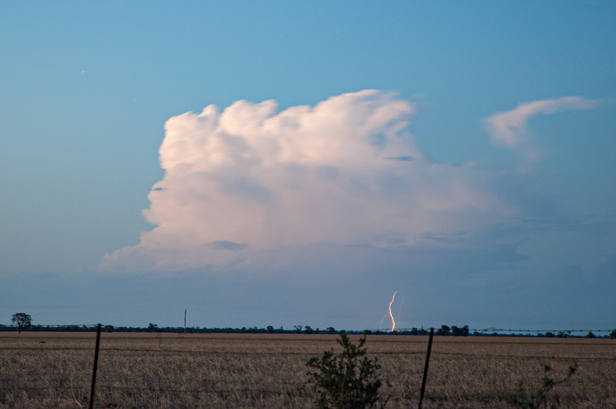 lightning lightning_bolts : Coonamble, NSW   8 December 2007