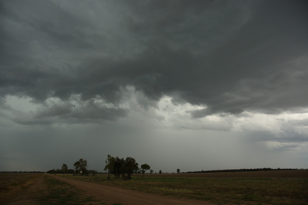 cumulonimbus thunderstorm_base : near Boomi, NSW   9 December 2007