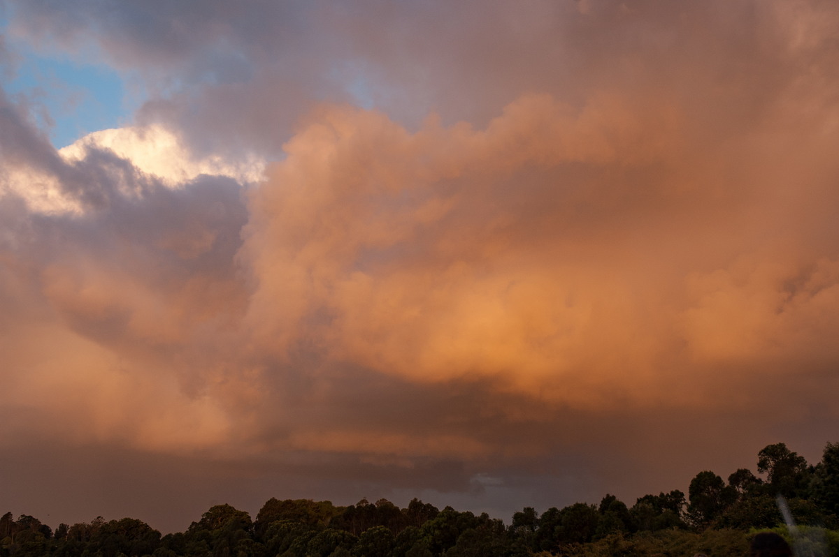 cumulus congestus : McLeans Ridges, NSW   29 December 2007