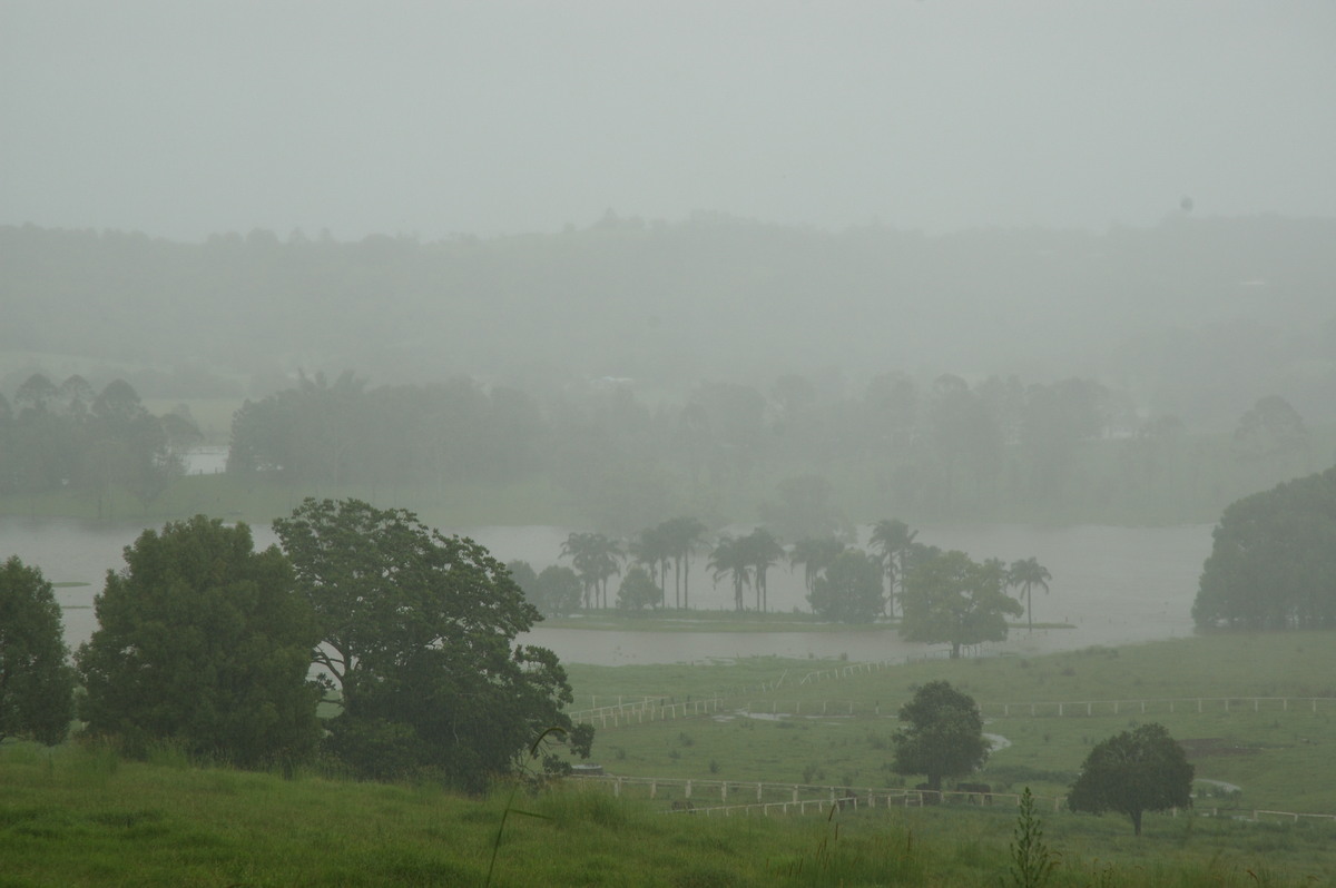 flashflooding flood_pictures : Eltham, NSW   4 January 2008