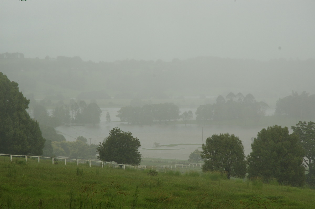 flashflooding flood_pictures : Eltham, NSW   4 January 2008