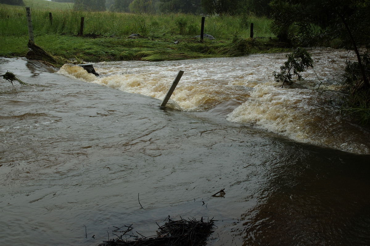 flashflooding flood_pictures : Booyong, NSW   4 January 2008