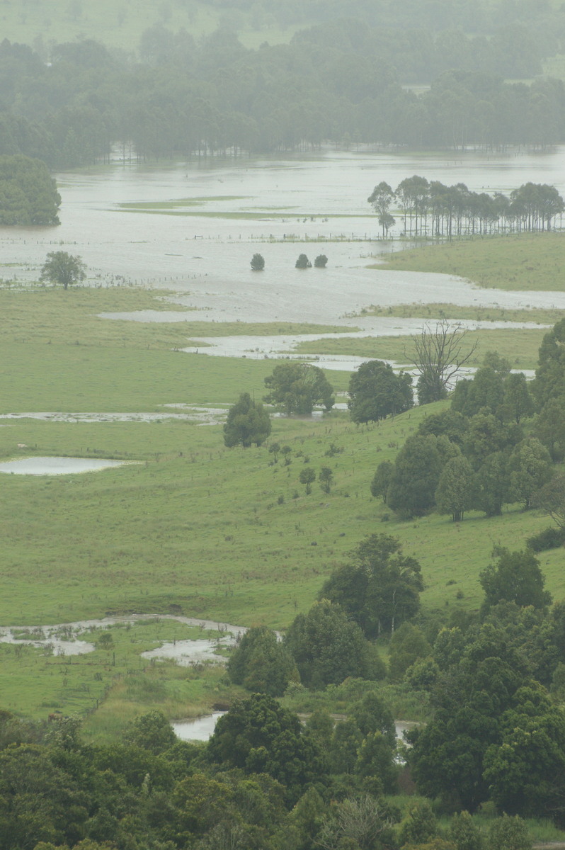 flashflooding flood_pictures : McLeans Ridges, NSW   4 January 2008