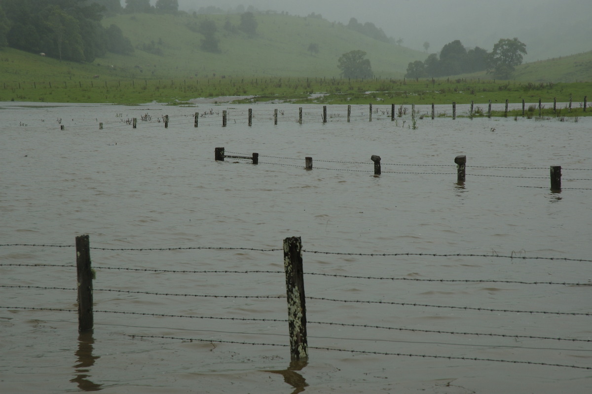 flashflooding flood_pictures : Eltham, NSW   4 January 2008